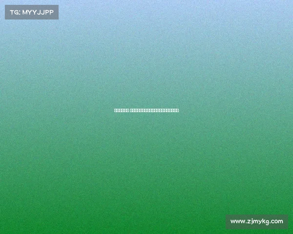 保级战役升级 扎卡加盟桑德兰成为中场节拍器助力黑猫冲刺