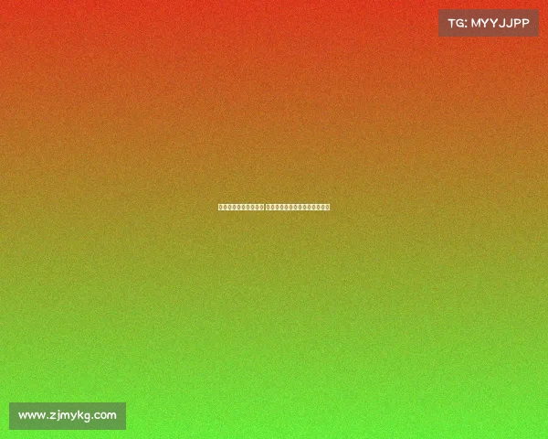 法甲女足球员崭露头角 她们如何在欧洲赛场上展现风采