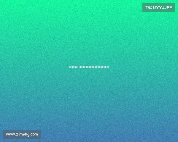 保级战役升级 扎卡加盟桑德兰成为中场节拍器助力黑猫冲刺