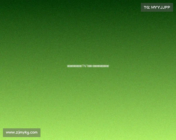 贝尔接替费迪南德担任TNT解说员 主播下赛季英超欧冠赛事